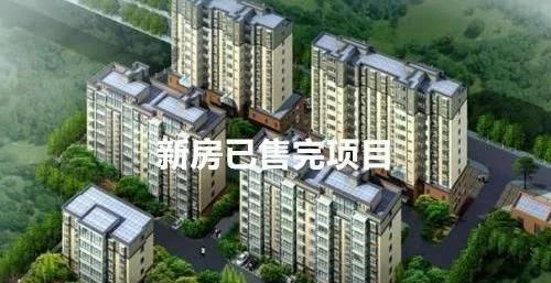 購(gòu)房指南 揭秘中介套路與樓盤代理風(fēng)險(xiǎn)